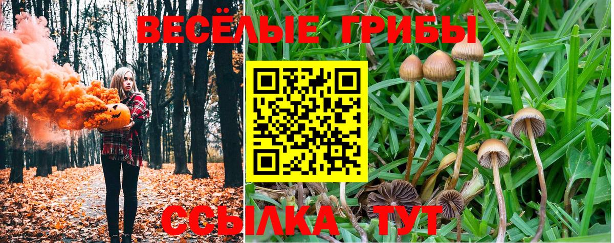 Галлюциногенные грибы GOLDEN TEACHER Коряжма