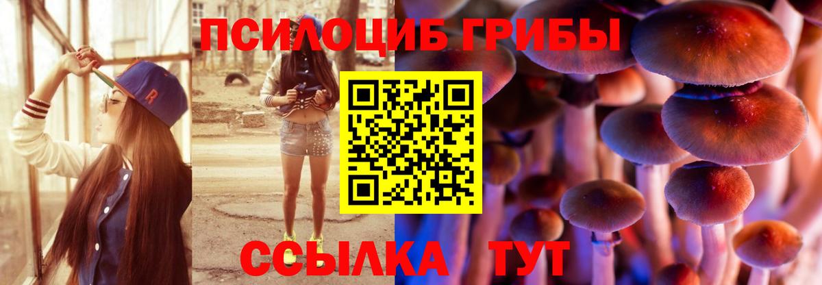 Галлюциногенные грибы Cubensis  Псилоцибиновые грибы MAGIC MUSHROOMS  Коряжма  Вход с VPN 